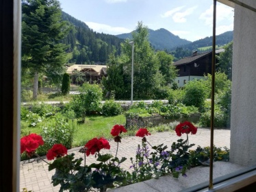 Sommerlicher Ausblick