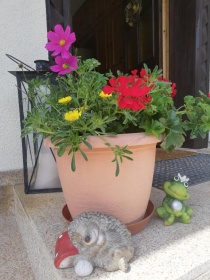 Sommerfreude im Haus Maria