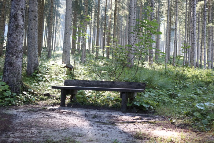 Wie wäre es mal mit einer kurze Pause im Wald?