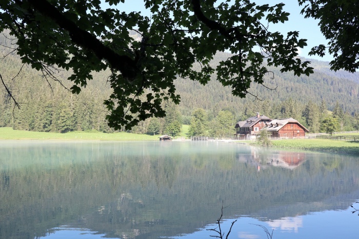 Früh morgens am Jägersee