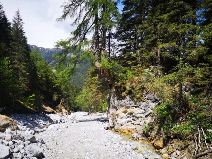 Wanderweg in Kleinarl