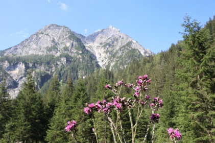 Traumhaften Bergpanorama