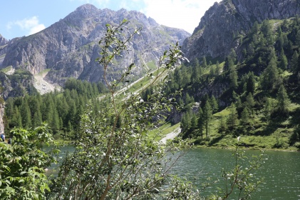 Idyllische Natur am Tappenkarsee